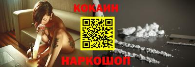крисы Севастополь